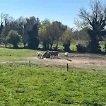Διαμέρισμα T2 De La Maison Du Haras Cruas