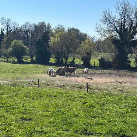 Apartmán T2 De La Maison Du Haras Cruas