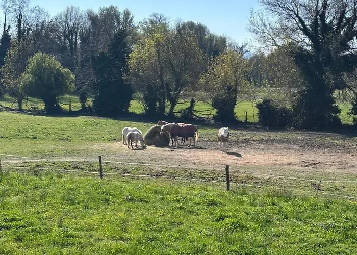 아파트 T2 De La Maison Du Haras Cruas